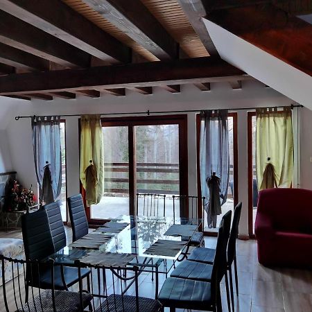 Vila Ines Sinaia Exteriér fotografie