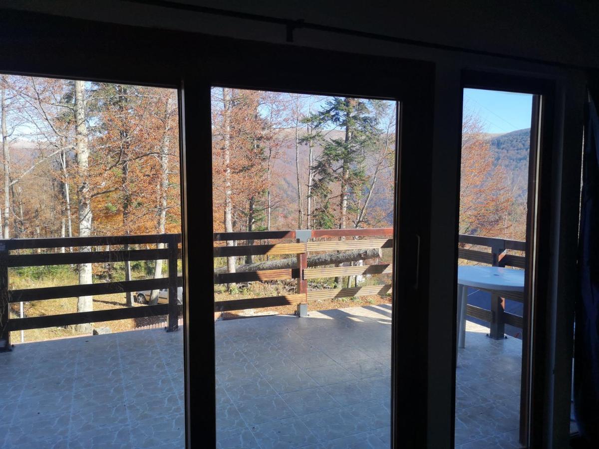 Vila Ines Sinaia Exteriér fotografie