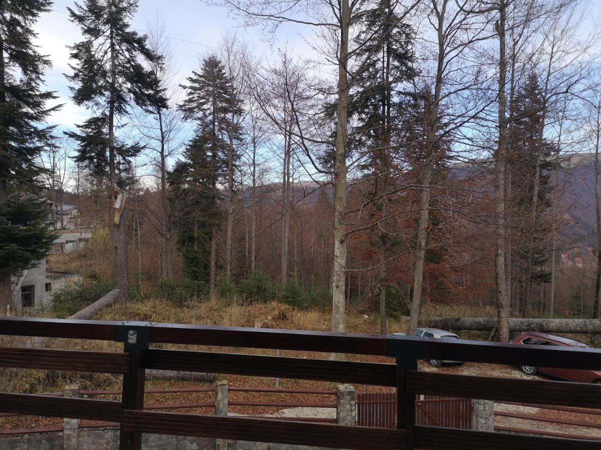 Vila Ines Sinaia Exteriér fotografie