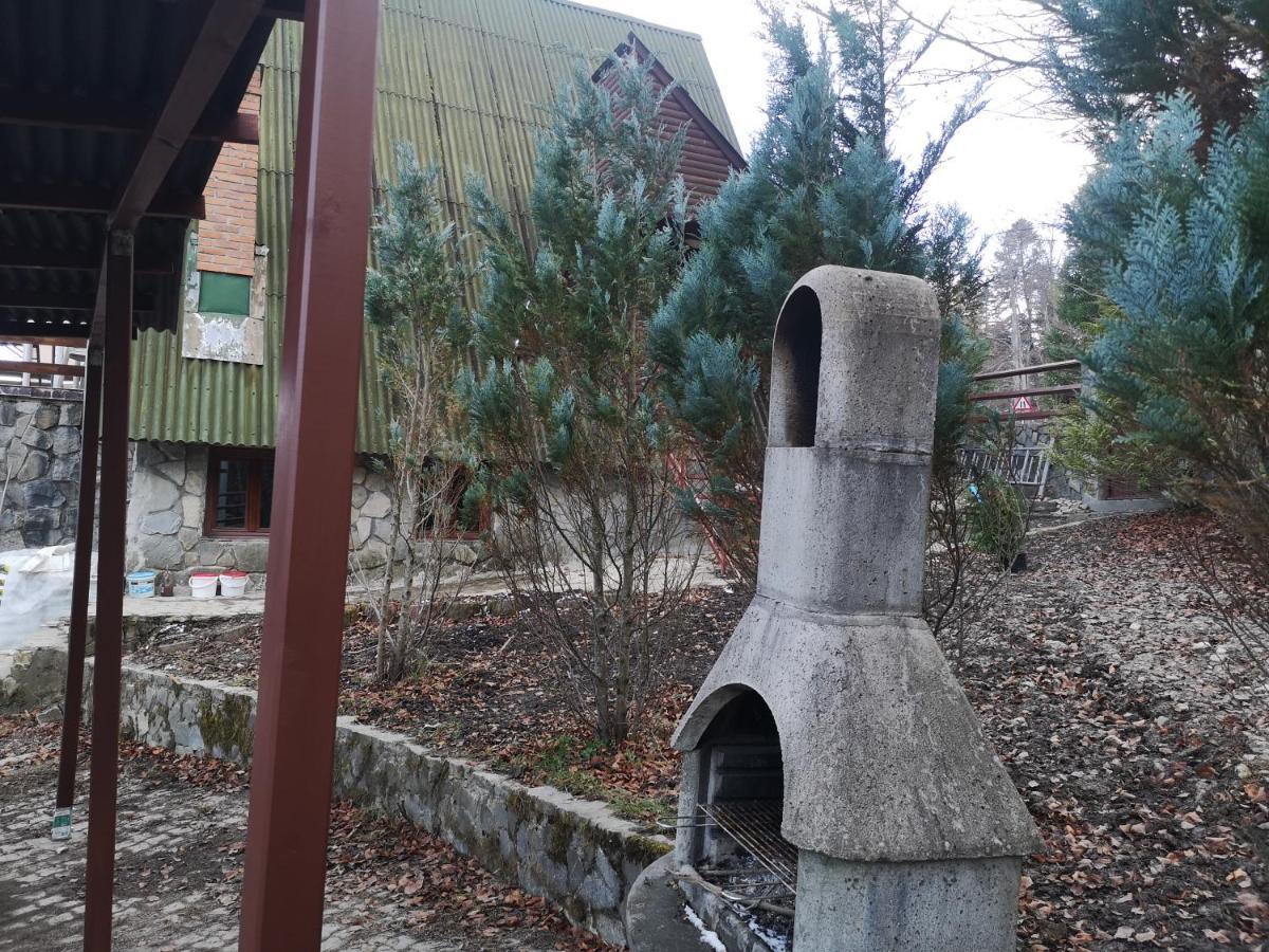 Vila Ines Sinaia Exteriér fotografie
