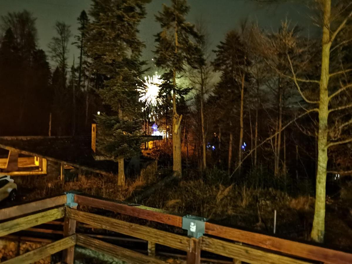 Vila Ines Sinaia Exteriér fotografie