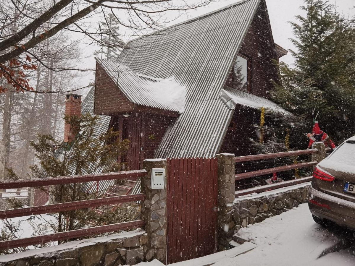 Vila Ines Sinaia Exteriér fotografie