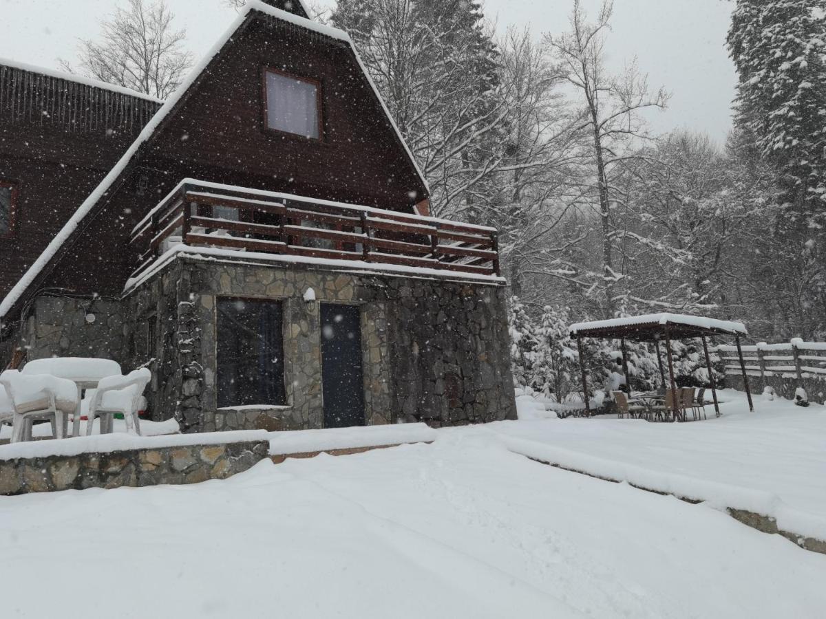 Vila Ines Sinaia Exteriér fotografie